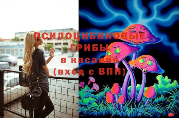apvp Алексеевка