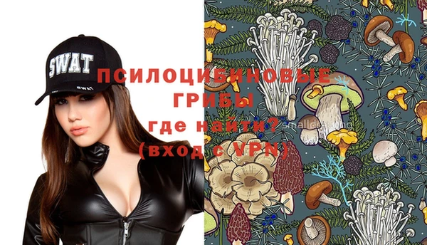 бошки Абинск