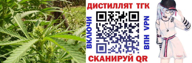 Дистиллят ТГК Wax  Ухта 