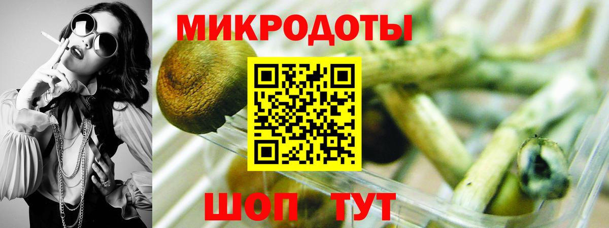 хочу   Псилоцибиновые грибы ЛСД  Вход с VPN  Ухта 